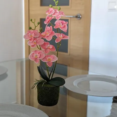 Brisa Marina Hills Apartment