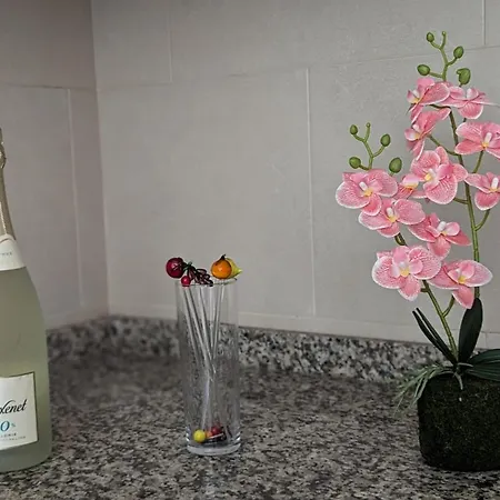 Apartment Brisa Marina Hills *